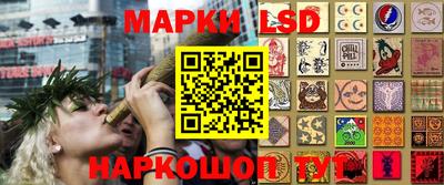дживик Кингисепп