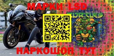 дживик Кингисепп