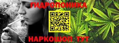 дживик Кингисепп